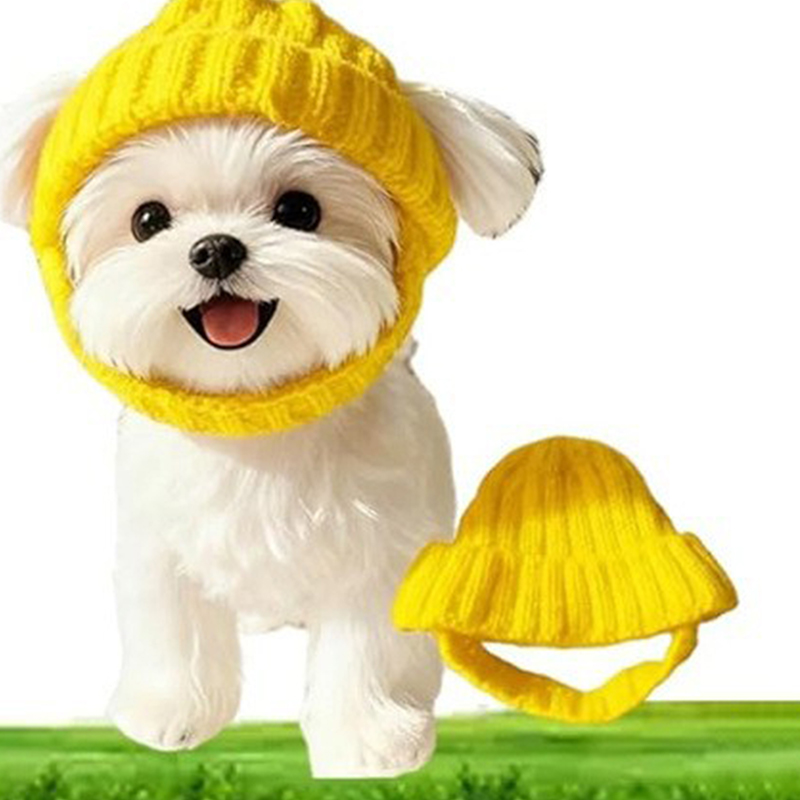 1Pc Maltese Dog Beanie Hat Sof - Winter Trapper Hat ulasan dan harga